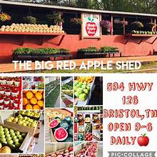 Big Red Apple Shed
