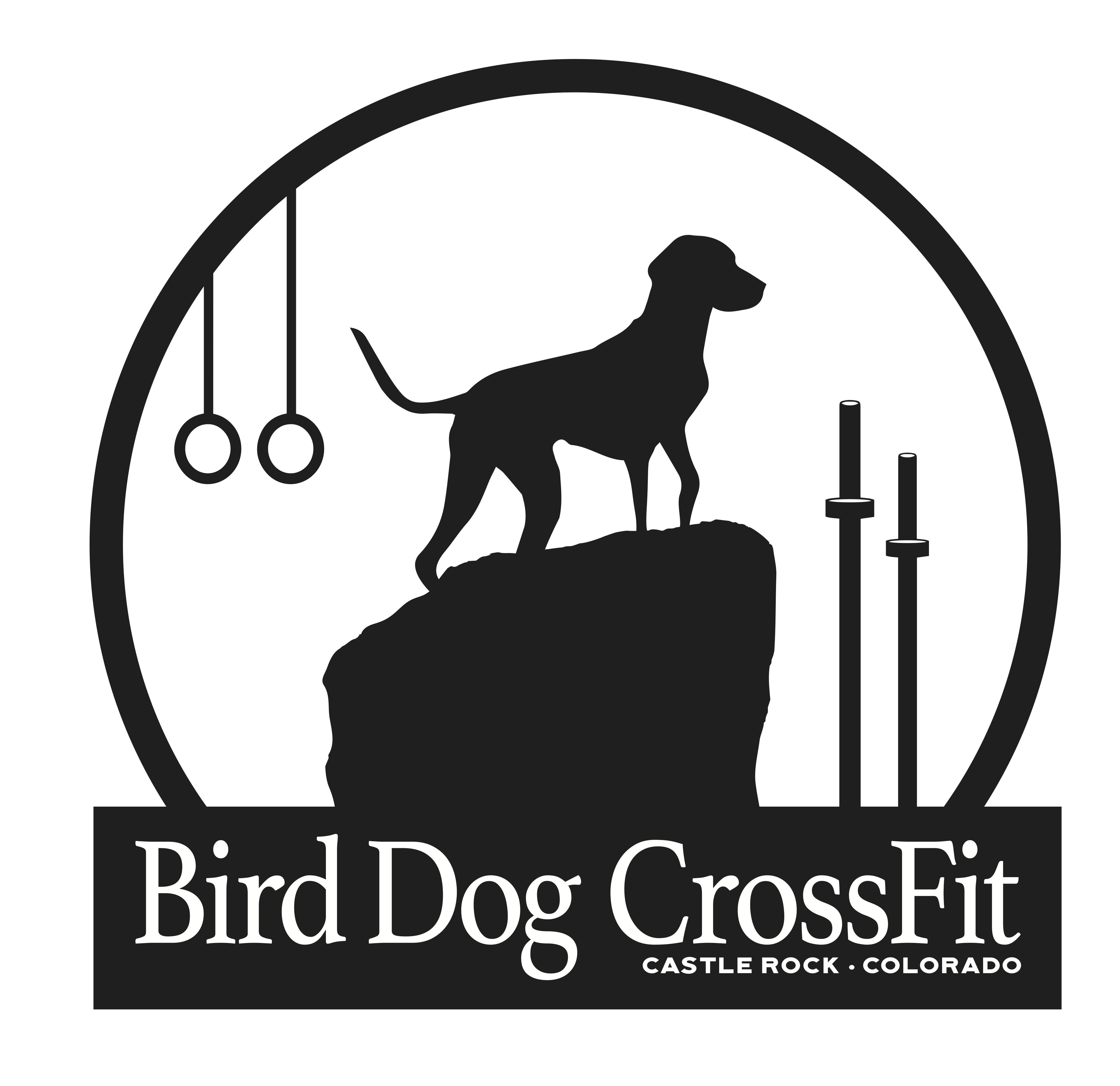 Bird Dog Crossfit